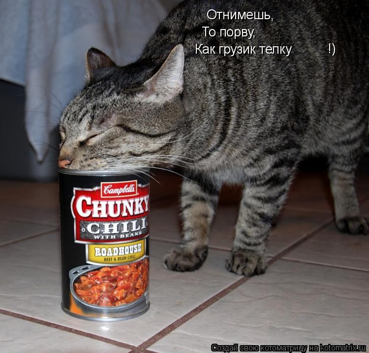 Отнимешь, То порву, Как грузик телку !)... Котоматрица: Отнимешь, То порву, Как грузик телку !)