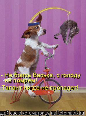 Котоматрица: - Не боись Васька, с голоду   не помрем!   Талант нигде не пропадет!