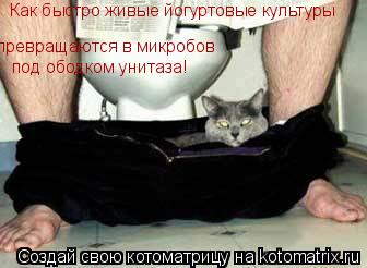 Как быстро живые йогуртовые культуры превращаются в микробов под ободком унитаза!... Котоматрица: Как быстро живые йогуртовые культуры превращаются в микробов под ободком унитаза!