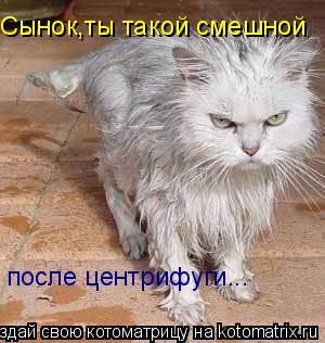 Котоматрица: Сынок,ты такой смешной после центрифуги...