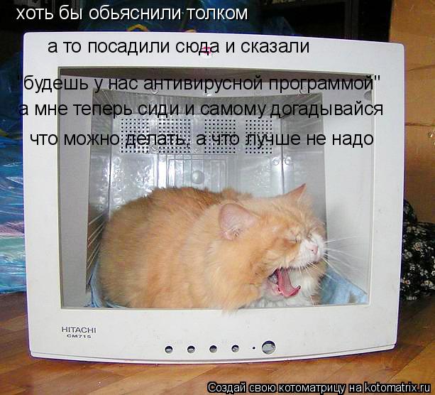 Котоматрица: хоть бы обьяснили толком а то посадили сюда и сказали "будешь у нас антивирусной программой" а мне теперь сиди и самому догадывайся что можн