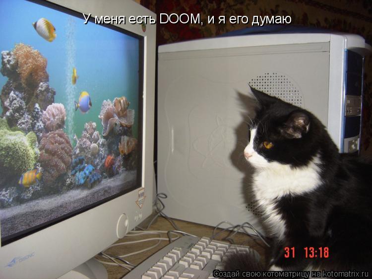 Котоматрица: У меня есть DOOM, и я его думаю