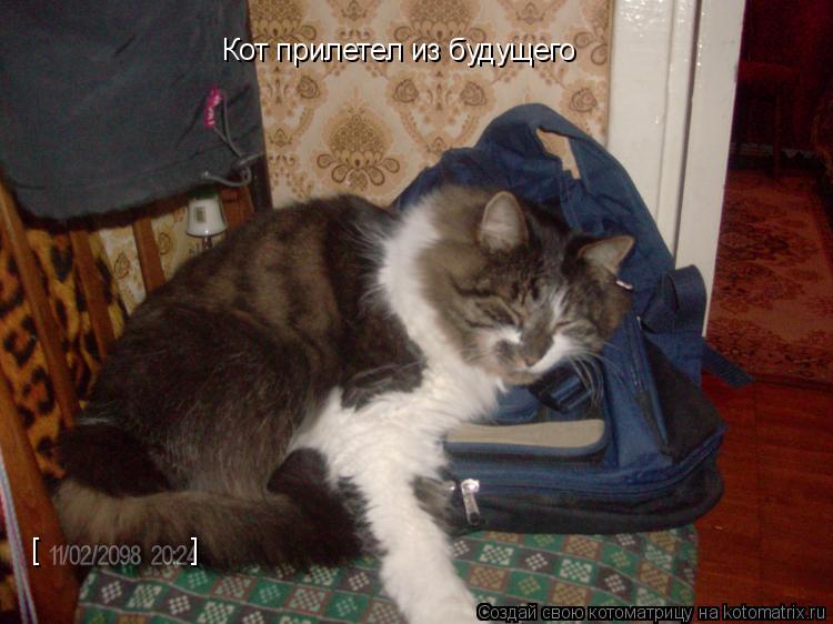 Котоматрица: Кот прилетел из будущего [ ]