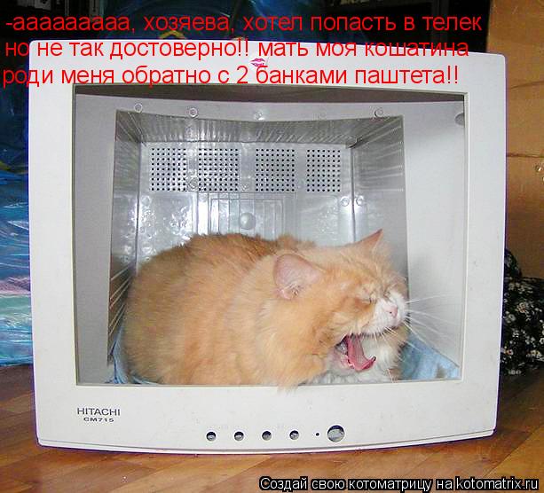 -ааааааааа, хозяева, хотел попасть в телек но не так достоверно!! мать моя кошатина роди меня обратно... Котоматрица: -ааааааааа, хозяева, хотел попасть в телек но не так достоверно!! мать моя кошатина роди меня обратно с 2 банками паштета!!