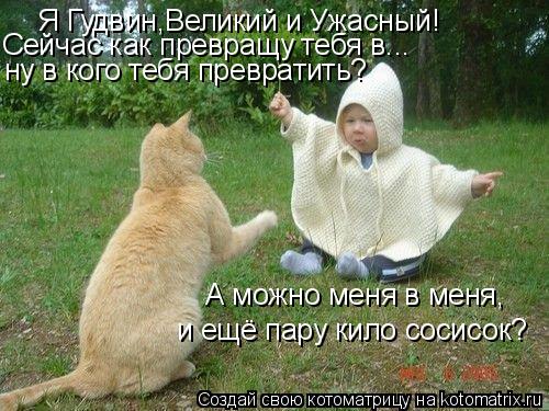 Я Гудвин,Великий и Ужасный! ну в кого тебя превратить? Сейчас как превращу тебя в... А можно меня в м... Котоматрица: Я Гудвин,Великий и Ужасный! ну в кого тебя превратить? Сейчас как превращу тебя в... А можно меня в меня, и ещё пару кило сосисок?