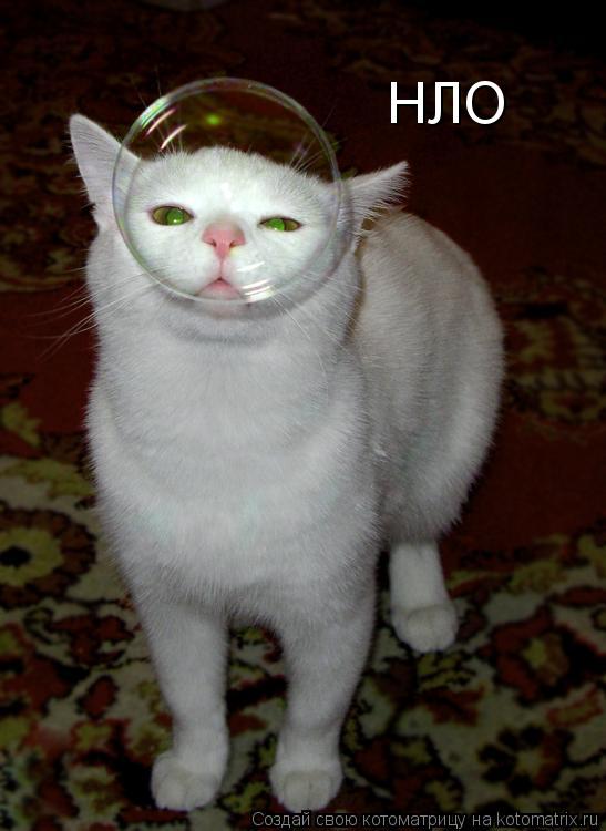 НЛО... Котоматрица: НЛО