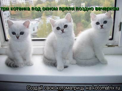 три котенка под окном пряли поздно вечерком... Котоматрица: три котенка под окном пряли поздно вечерком