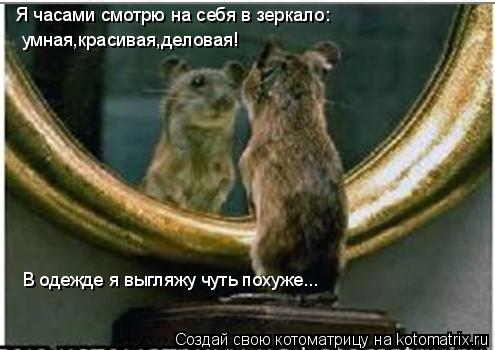 Котоматрица: Я часами смотрю на себя в зеркало: умная,красивая,деловая! В одежде я выгляжу чуть похуже...