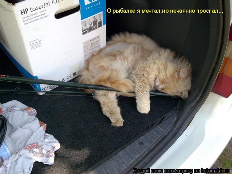 О рыбалке я мечтал,но нечаянно проспал...... Котоматрица: О рыбалке я мечтал,но нечаянно проспал...