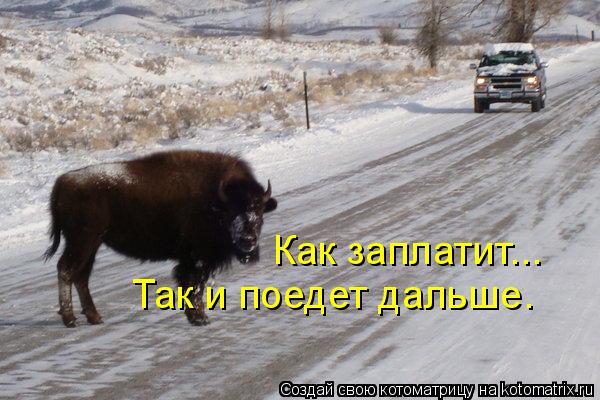 Как заплатит... Так и поедет дальше.... Котоматрица: Как заплатит... Так и поедет дальше.