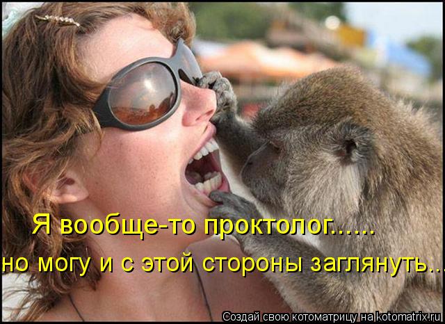 Я вообще-то проктолог...... но могу и с этой стороны заглянуть...... Котоматрица: Я вообще-то проктолог...... но могу и с этой стороны заглянуть...