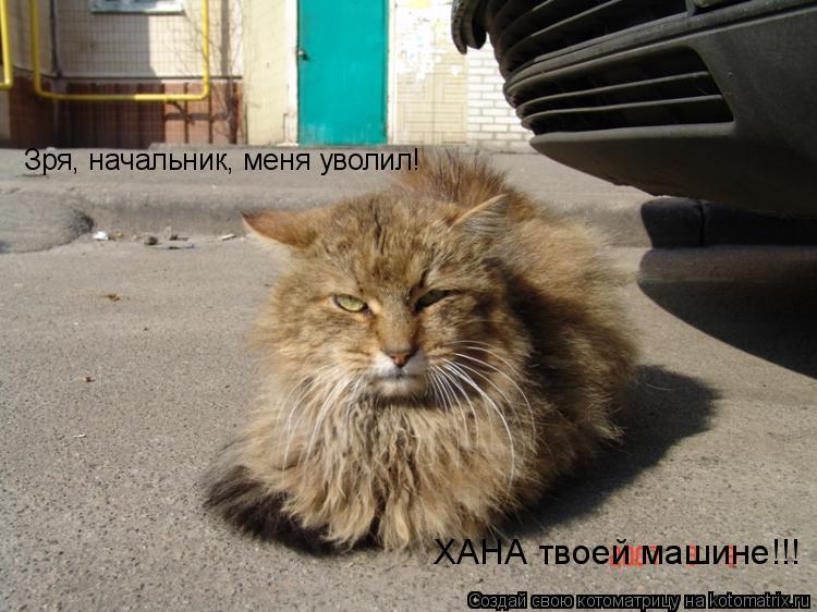 Зря, начальник, меня уволил! ХАНА твоей машине!!!... Котоматрица: Зря, начальник, меня уволил! ХАНА твоей машине!!!