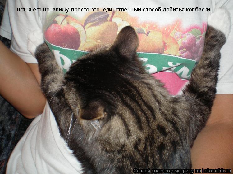 нет, я его ненавижу, просто это единственный способ добитья колбаски...... Котоматрица: нет, я его ненавижу, просто это единственный способ добитья колбаски...