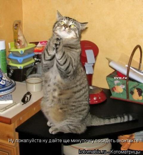 Котоматрица: Ну пожалуйста ну дайте ще минуточку посидеть вконтакте !!!