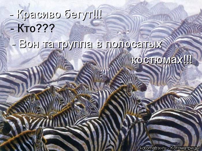 - Красиво бегут!!! - Кто??? - Вон та группа в полосатых костюмах!!!... Котоматрица: - Красиво бегут!!! - Кто??? - Вон та группа в полосатых костюмах!!!