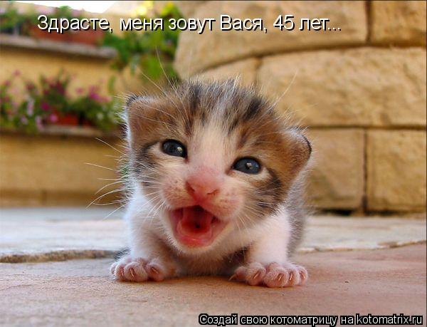 Здрасте, меня зовут Вася, 45 лет...... Котоматрица: Здрасте, меня зовут Вася, 45 лет...