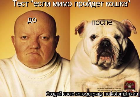 Тест "если мимо пройдет кошка" до после... Котоматрица: Тест "если мимо пройдет кошка" до после