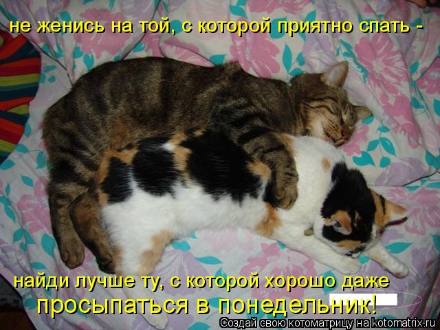 не женись на той, с которой приятно спать - найди лучше ту, с которой хорошо даже просыпаться в понед... Котоматрица: не женись на той, с которой приятно спать - найди лучше ту, с которой хорошо даже просыпаться в понедельник!