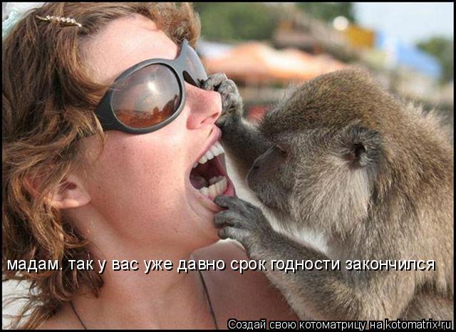 мадам. так у вас уже давно срок годности закончился... Котоматрица: мадам. так у вас уже давно срок годности закончился