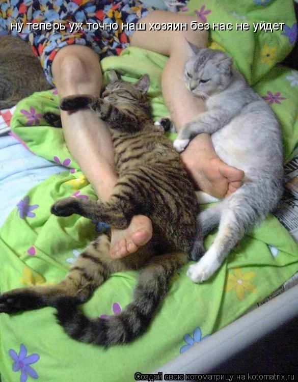 ну теперь уж точно наш хозяин без нас не уйдет... Котоматрица: ну теперь уж точно наш хозяин без нас не уйдет