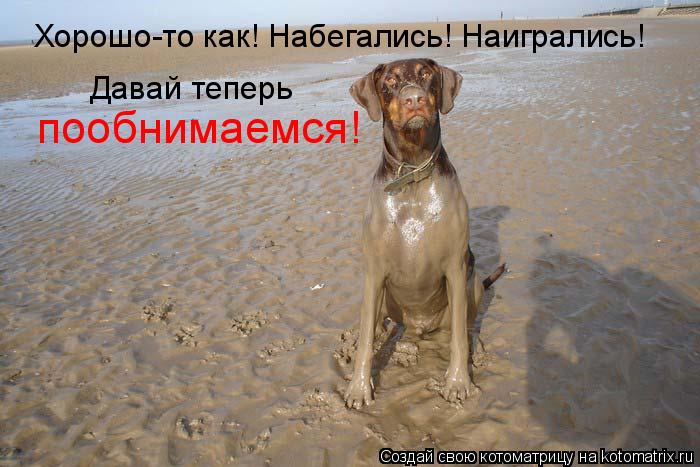 пообнимаемся! Давай теперь Хорошо-то как! Набегались! Наигрались!... Котоматрица: пообнимаемся! Давай теперь Хорошо-то как! Набегались! Наигрались!