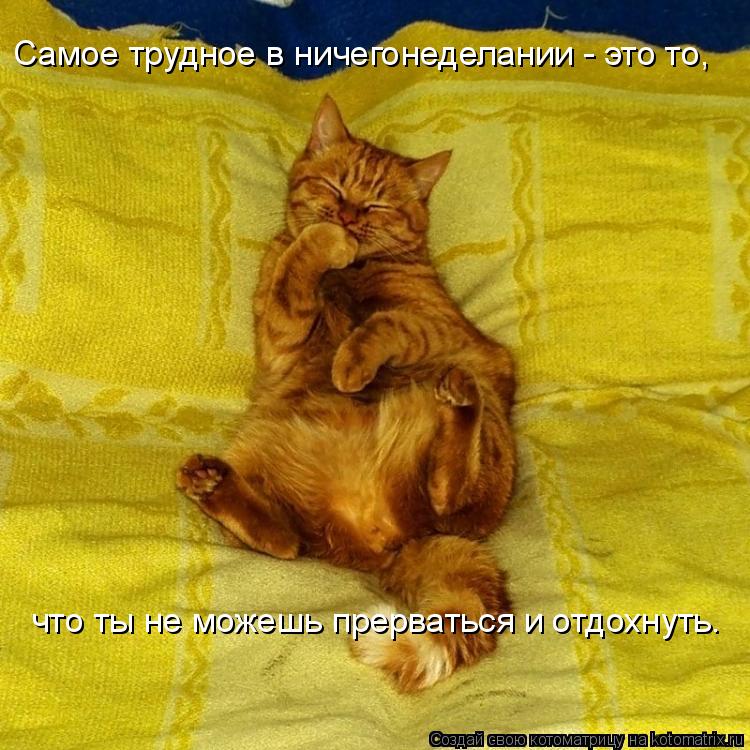 Самое трудное в ничегонеделании - это то, что ты не можешь прерваться и отдохнуть.... Котоматрица: Самое трудное в ничегонеделании - это то, что ты не можешь прерваться и отдохнуть.