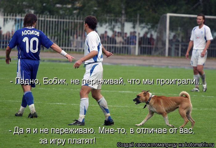 - Ладно, Бобик, не переживай, что мы проиграли... - Да я и не переживаю. Мне-то, в отличае от вас, з... Котоматрица: - Ладно, Бобик, не переживай, что мы проиграли... - Да я и не переживаю. Мне-то, в отличае от вас, за игру платят!