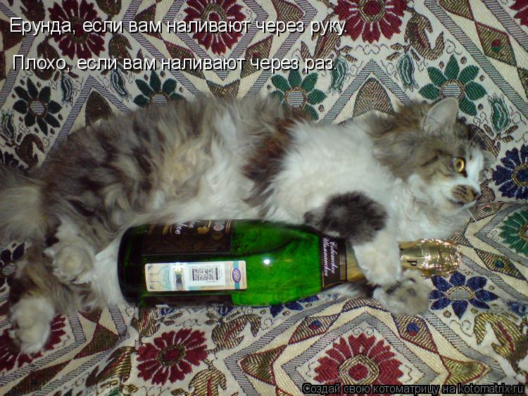 Ерунда, если вам наливают через руку. Плохо, если вам наливают через раз.... Котоматрица: Ерунда, если вам наливают через руку. Плохо, если вам наливают через раз.