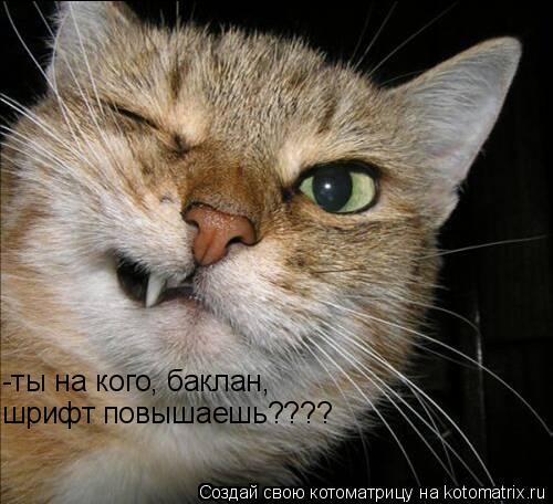 -ты на кого, баклан, шрифт повышаешь????... Котоматрица: -ты на кого, баклан, шрифт повышаешь????