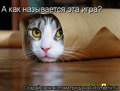 А как называется эта игра?... Котоматрица: А как называется эта игра?
