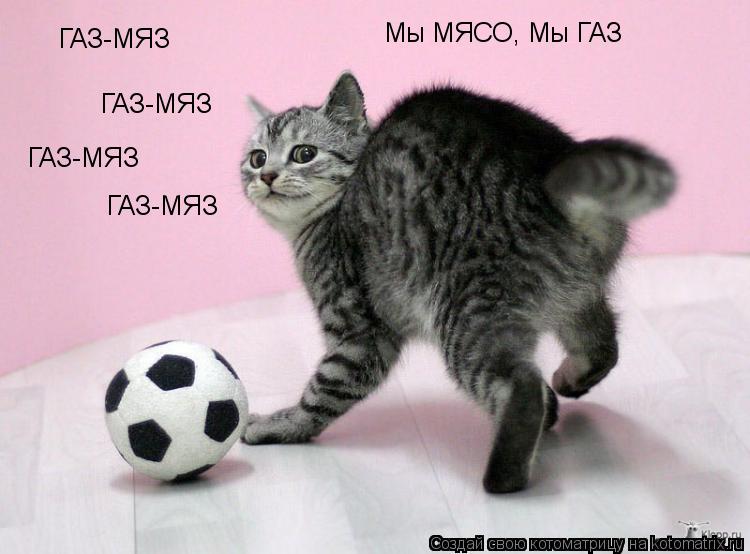 ГАЗ-МЯЗ ГАЗ-МЯЗ ГАЗ-МЯЗ ГАЗ-МЯЗ Мы МЯСО, Мы ГАЗ... Котоматрица: ГАЗ-МЯЗ ГАЗ-МЯЗ ГАЗ-МЯЗ ГАЗ-МЯЗ Мы МЯСО, Мы ГАЗ