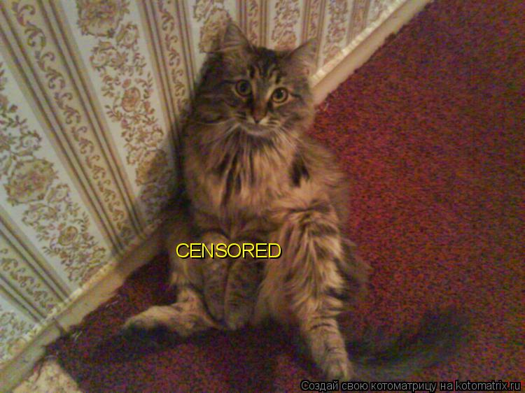 CENSORED... Котоматрица: CENSORED