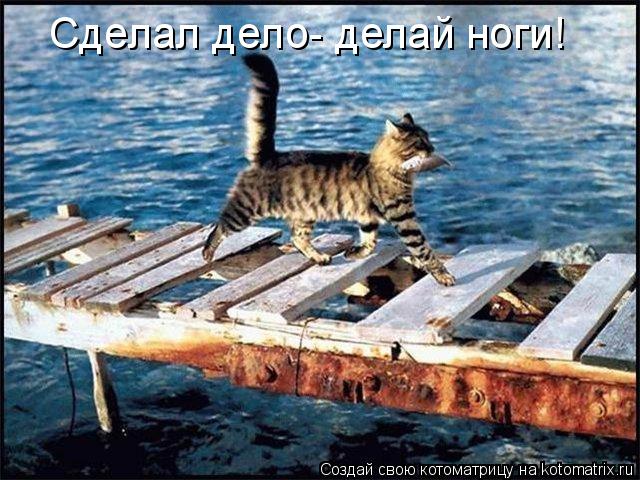 Котоматрица: Сделал дело- делай ноги!