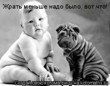 Жрать меньше надо было, вот что!... Котоматрица: Жрать меньше надо было, вот что!