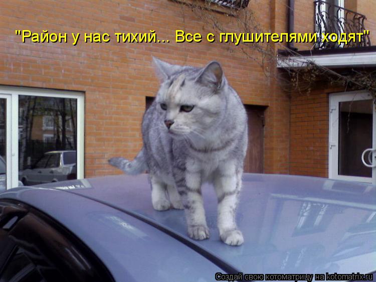 "Район у нас тихий... Все с глушителями ходят"... Котоматрица: "Район у нас тихий... Все с глушителями ходят"