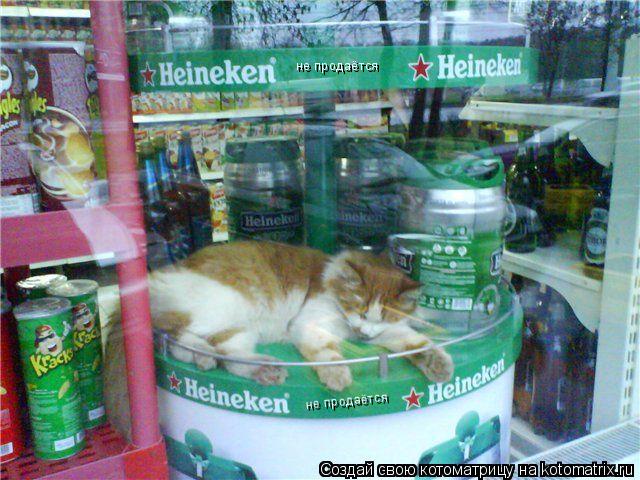 не продаётся не продаётся... Котоматрица: не продаётся не продаётся