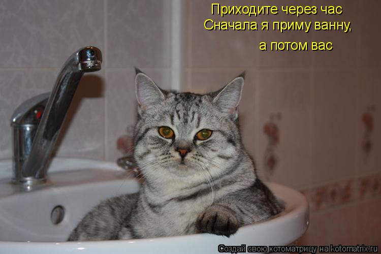 Приходите через час Сначала я приму ванну, а потом вас... Котоматрица: Приходите через час Сначала я приму ванну, а потом вас