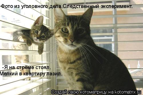Фото из уголовного дела.Следственный эксперимент. -Я на стрёме стоял. Мелкий в квартиру лазил.... Котоматрица: Фото из уголовного дела.Следственный эксперимент. -Я на стрёме стоял. Мелкий в квартиру лазил.