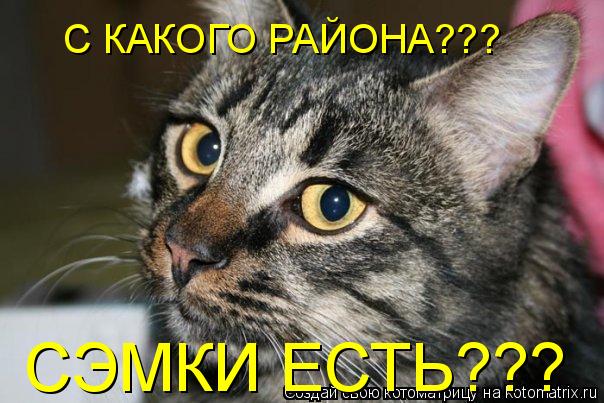 СЭМКИ ЕСТЬ??? С КАКОГО РАЙОНА???... Котоматрица: СЭМКИ ЕСТЬ??? С КАКОГО РАЙОНА???