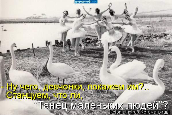 Котоматрица: Станцуем, что ли,  - Ну чего, девчонки, покажем им?.. "Танец маленьких людей"?