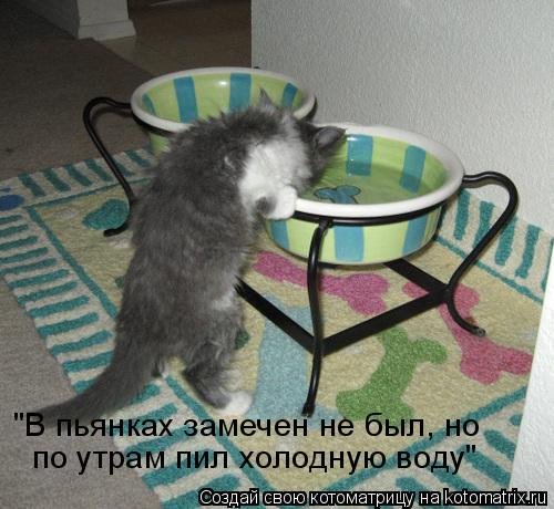 "В пьянках замечен не был, но по утрам пил холодную воду"... Котоматрица: "В пьянках замечен не был, но по утрам пил холодную воду"