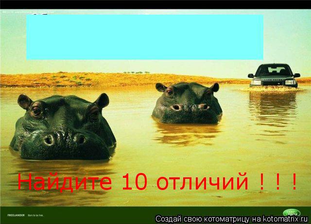 Найдите 10 отличий ! ! !... Котоматрица: Найдите 10 отличий ! ! !