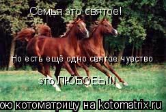 Семья это святое! Но есть ещё одно святое чувство это ЛЮБОВЬ!!!... Котоматрица: Семья это святое! Но есть ещё одно святое чувство это ЛЮБОВЬ!!!
