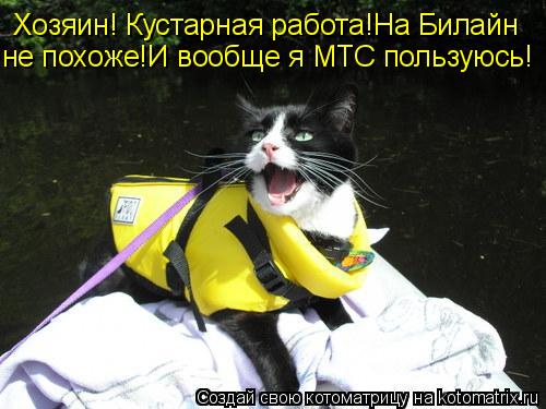 Хозяин! Кустарная работа!На Билайн не похоже!И вообще я МТС пользуюсь!... Котоматрица: Хозяин! Кустарная работа!На Билайн не похоже!И вообще я МТС пользуюсь!