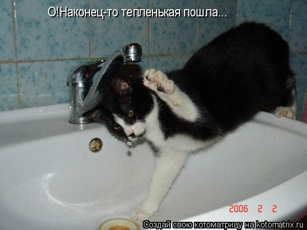 О!Наконец-то тепленькая пошла...... Котоматрица: О!Наконец-то тепленькая пошла...