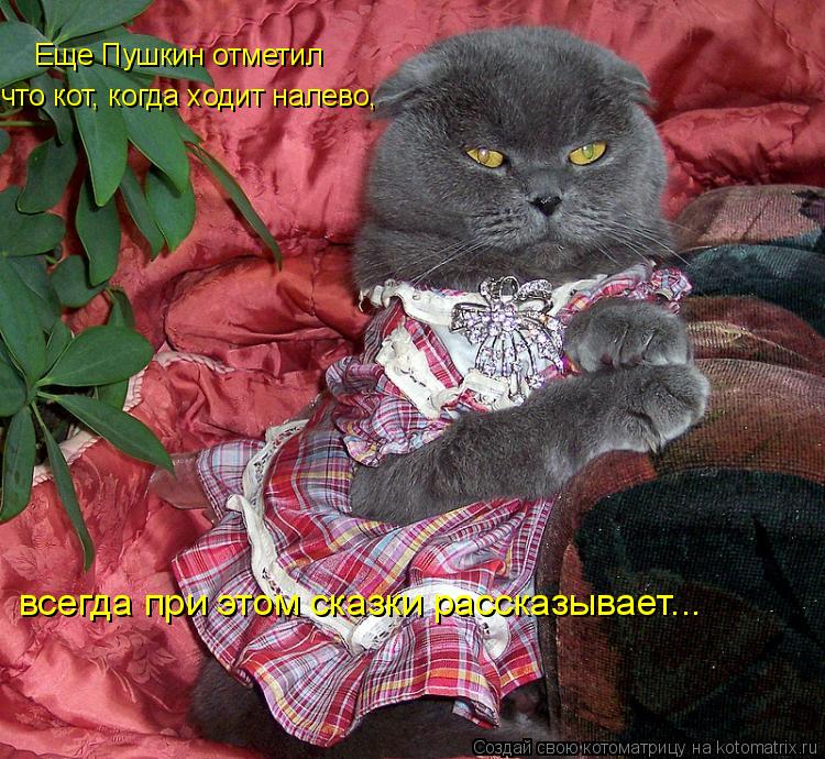Еще Пушкин отметил что кот, когда ходит налево, всегда при этом сказки рассказывает...... Котоматрица: Еще Пушкин отметил что кот, когда ходит налево, всегда при этом сказки рассказывает...