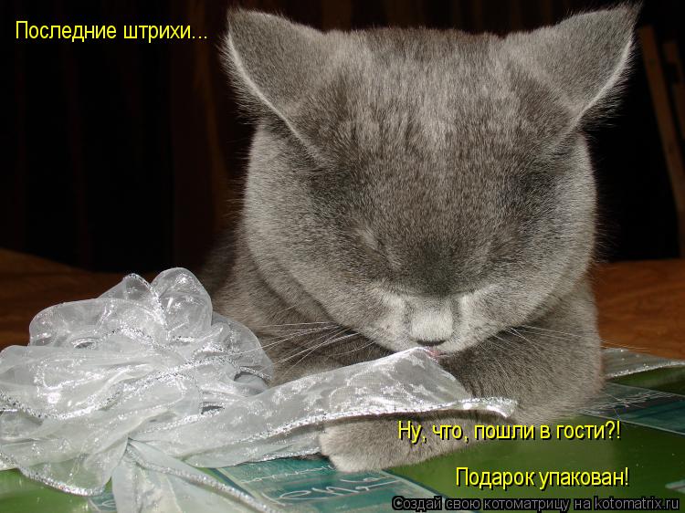 Последние штрихи... Ну, что, пошли в гости?! Подарок упакован!... Котоматрица: Последние штрихи... Ну, что, пошли в гости?! Подарок упакован!
