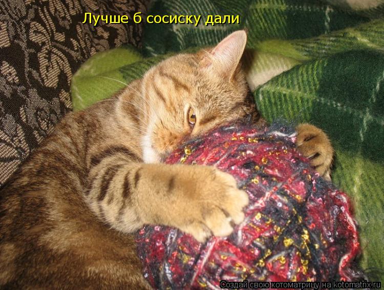 Лучше б сосиску дали... Котоматрица: Лучше б сосиску дали