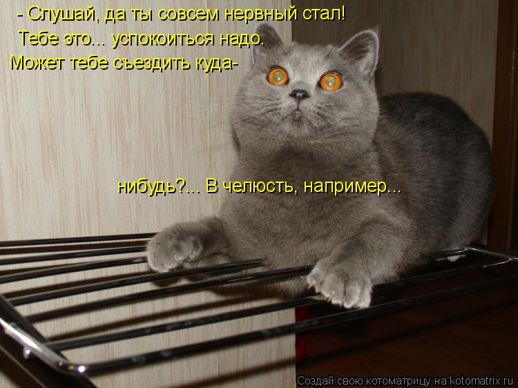 - Слушай, да ты совсем нервный стал! Тебе это... успокоиться надо. Может тебе съездить куда- нибудь?... Котоматрица: - Слушай, да ты совсем нервный стал! Тебе это... успокоиться надо. Может тебе съездить куда- нибудь?... В челюсть, например...