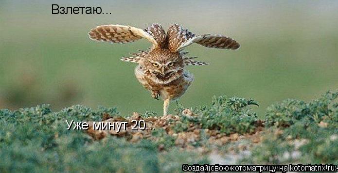 Взлетаю... Уже минут 20...... Котоматрица: Взлетаю... Уже минут 20...